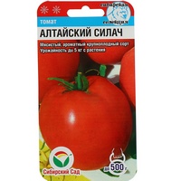 articul-A284739